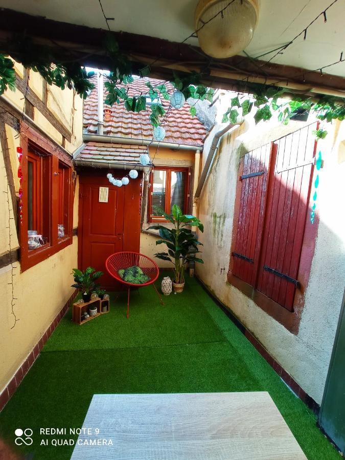Happy Petite Venise Apartment Colmar Luaran gambar